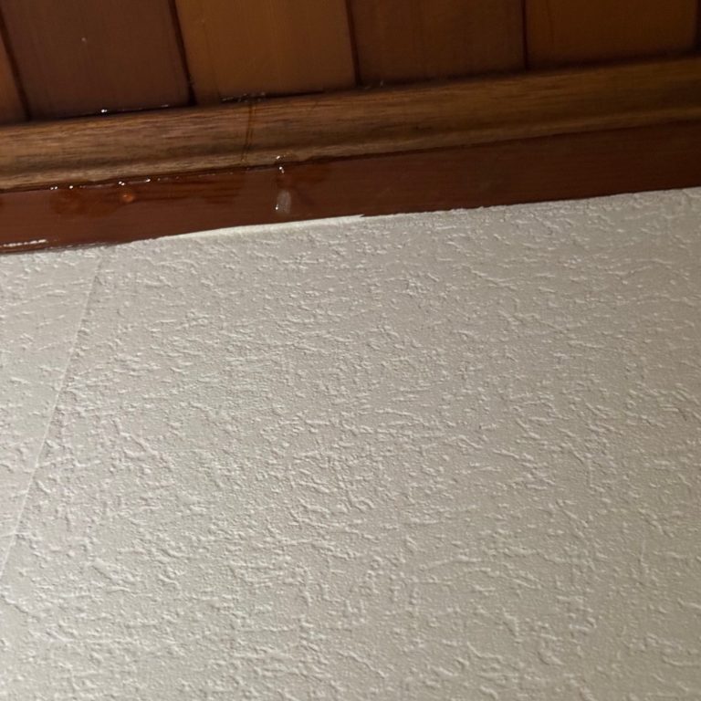 Wassertropfen treten aus einer Holzdecke aus und laufen an der Wand herunter.