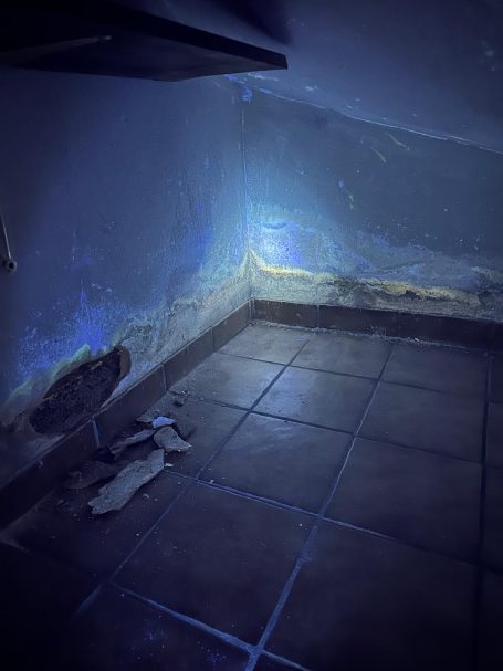 Schwarzlichtaufnahme mit sichtbar fluoreszierenden Schimmelspuren auf einer Oberfläche.