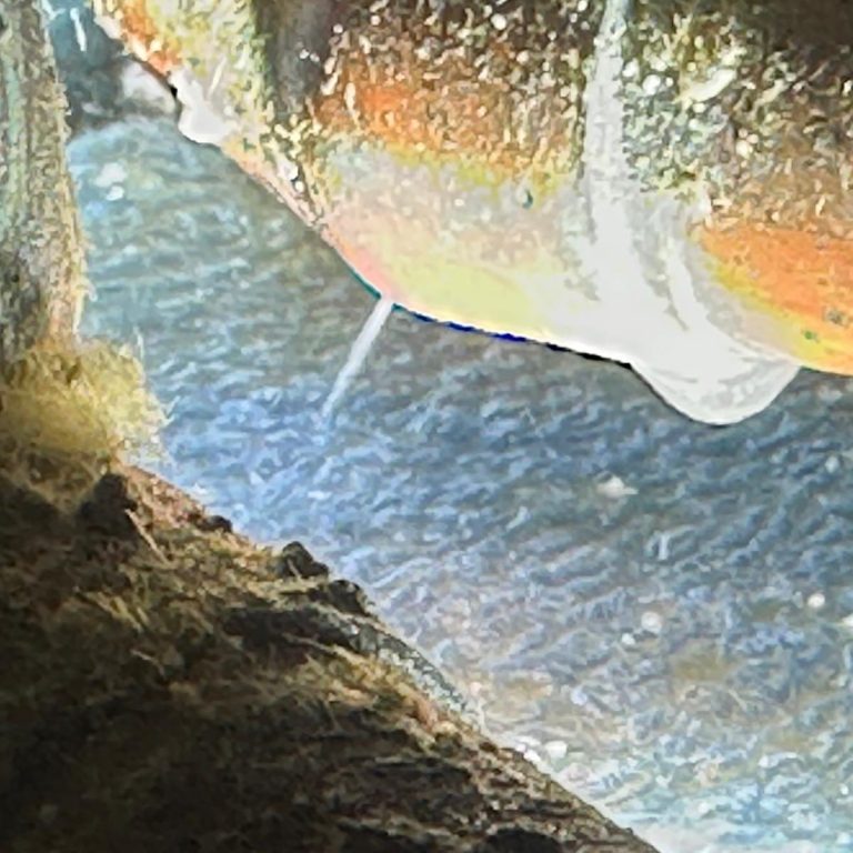Wasser spritzt unter Druck aus einer undichten Verbindung einer Kupferleitung.