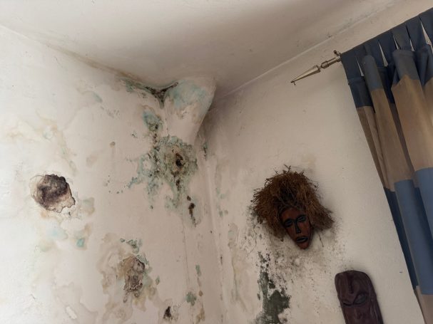 Raumecke mit großflächigen Nestern aus dunklem Schimmelbefall an Wand und Decke.