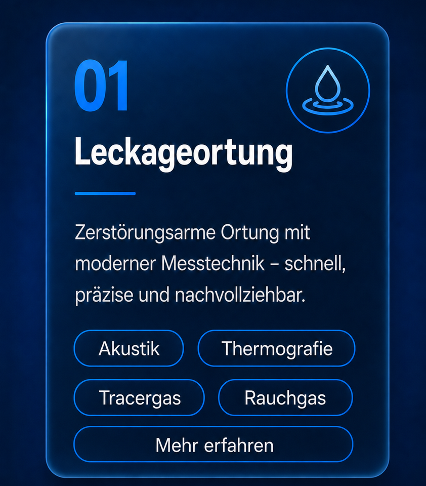 Leckageortung mit moderner Messtechnik bei Wasserschaden