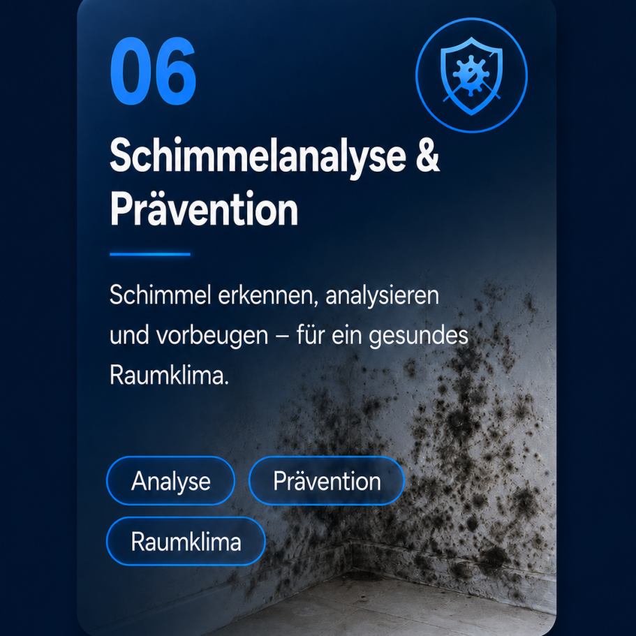 Schimmelanalyse und Prävention bei Feuchtigkeitsschaden