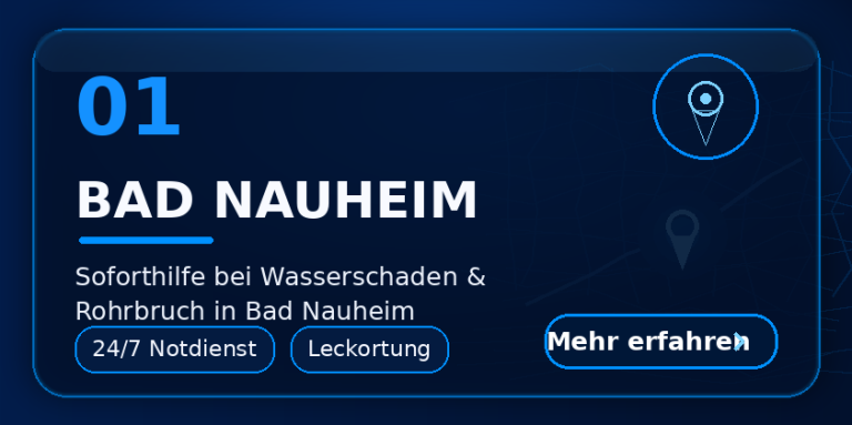 Wasserschaden Notdienst Bad Nauheim – Leckortung und Trocknung