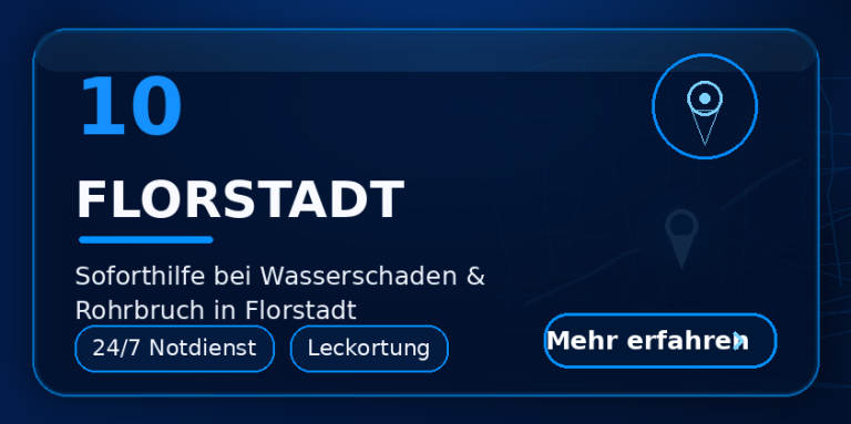 Wasserschaden Florstadt – Trocknung und Feuchtemessung