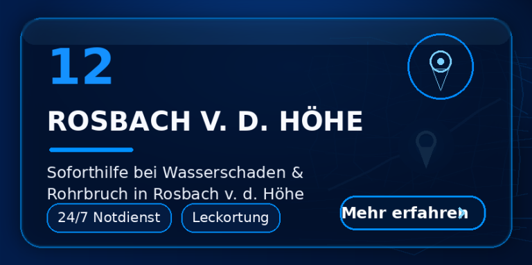 Wasserschaden Rosbach vor der Höhe – Leckortung und Trocknung